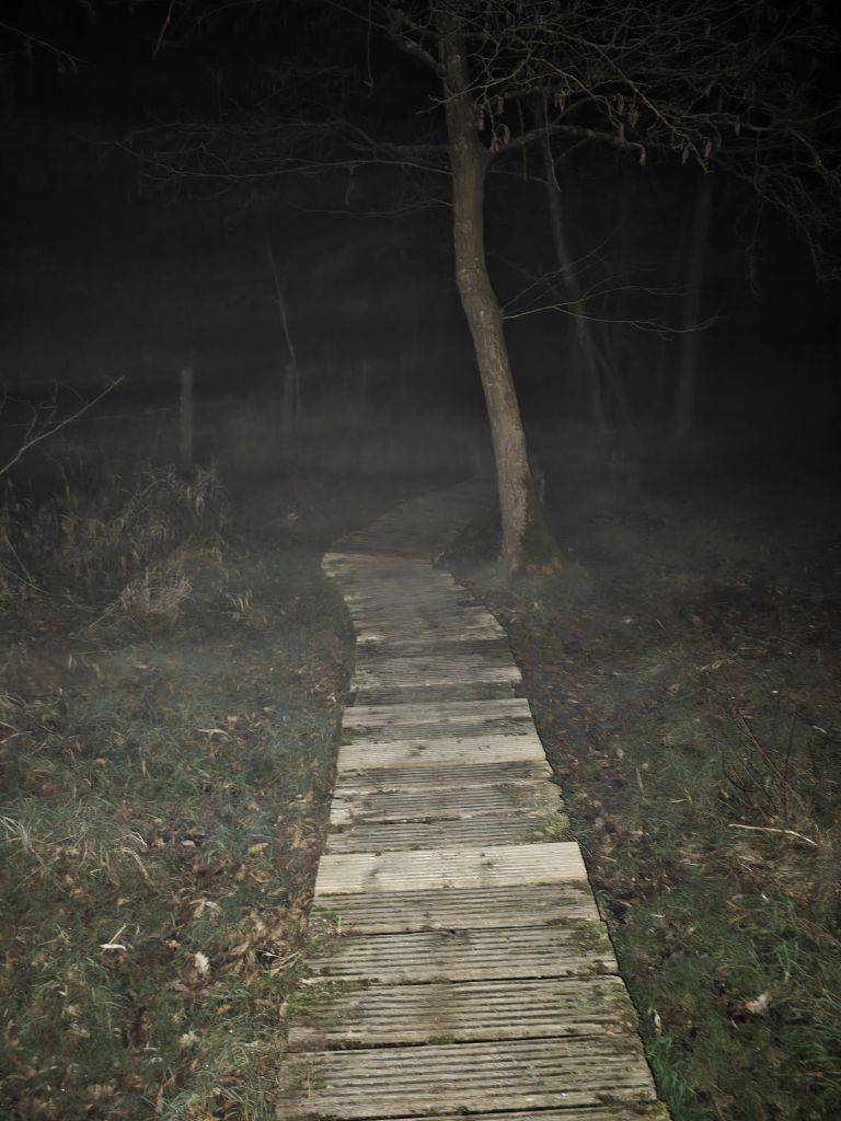 Foto nachtwandeling